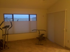 Window Film and Window Shades